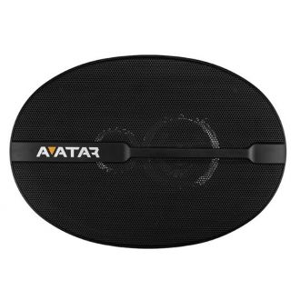 Avatar XBR-6913 speakers